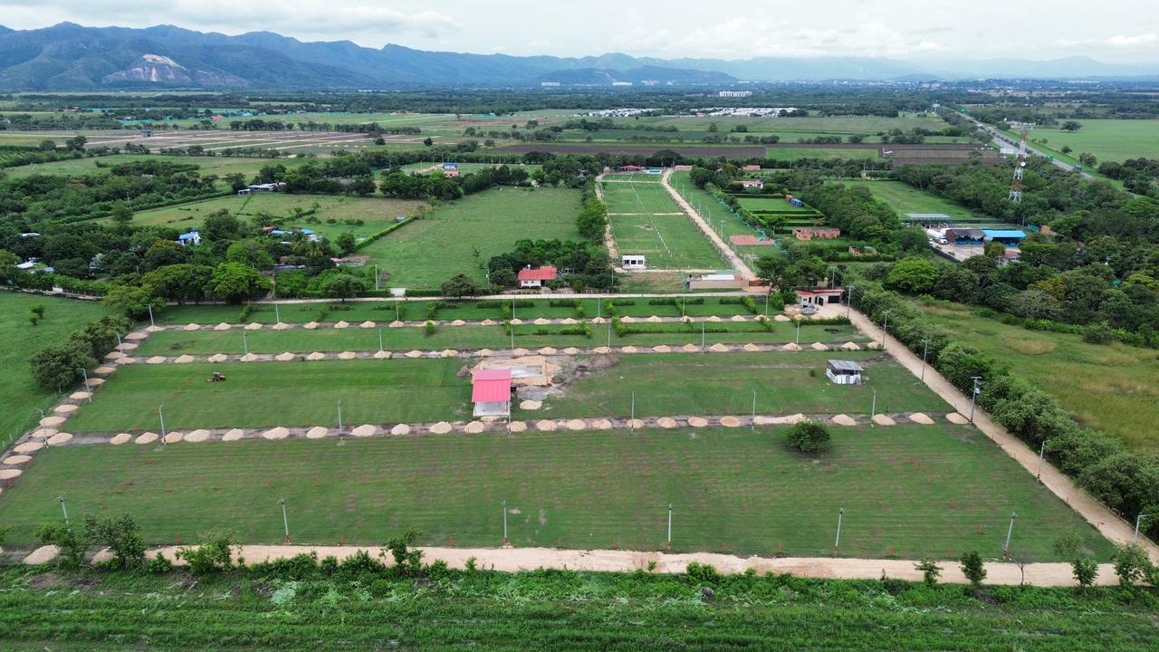 WhatsApp Image 2026-01-26 at 8.31.34 PM